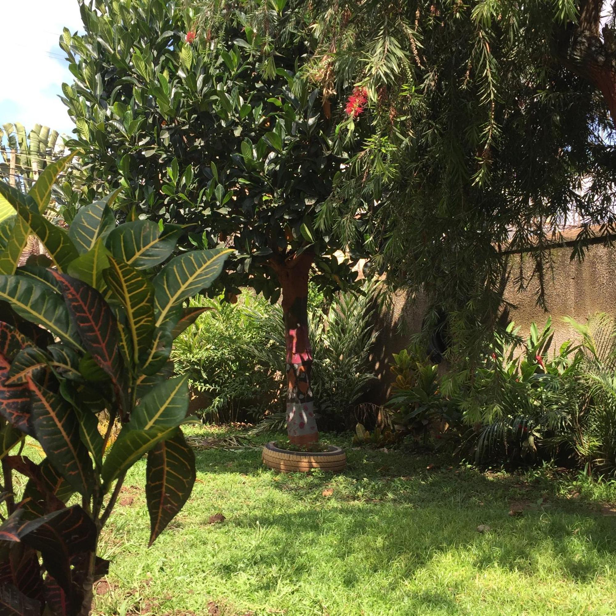 Tgs Homestay Kampala Bagian luar foto